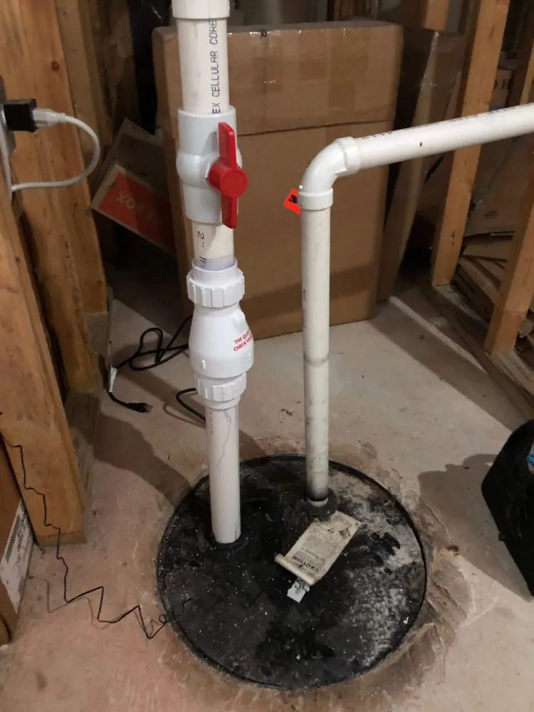 Slide of Crown Plumber