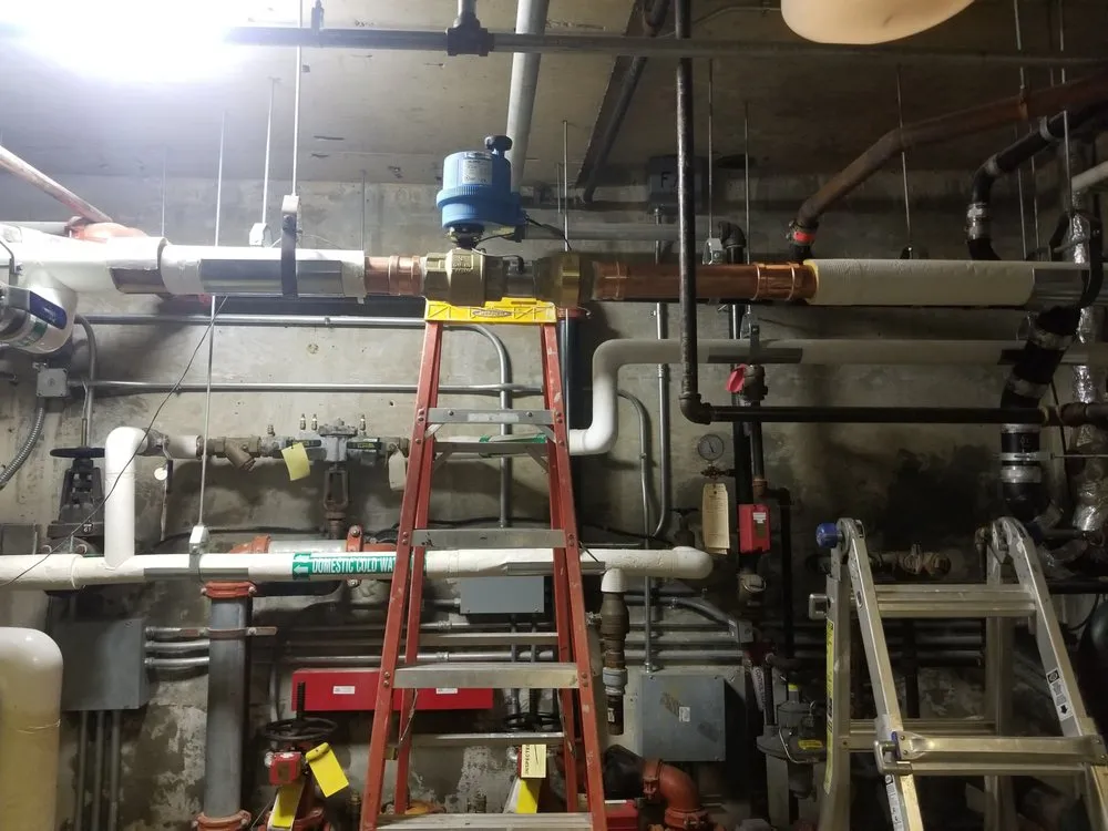 Slide of Crown Plumber