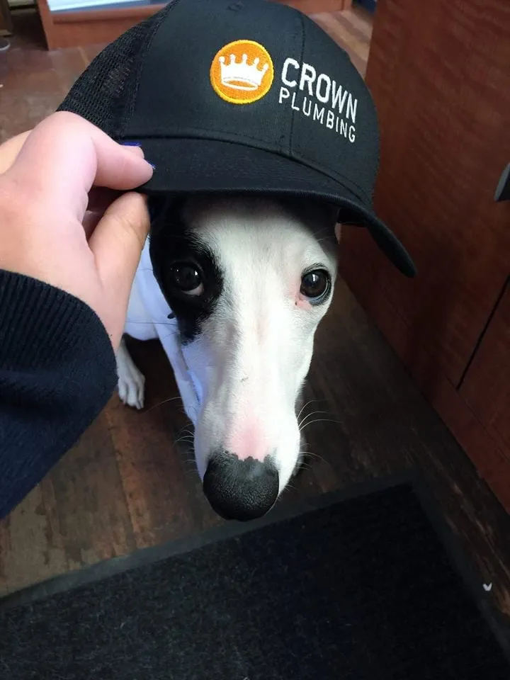 Slide of Crown Plumbing