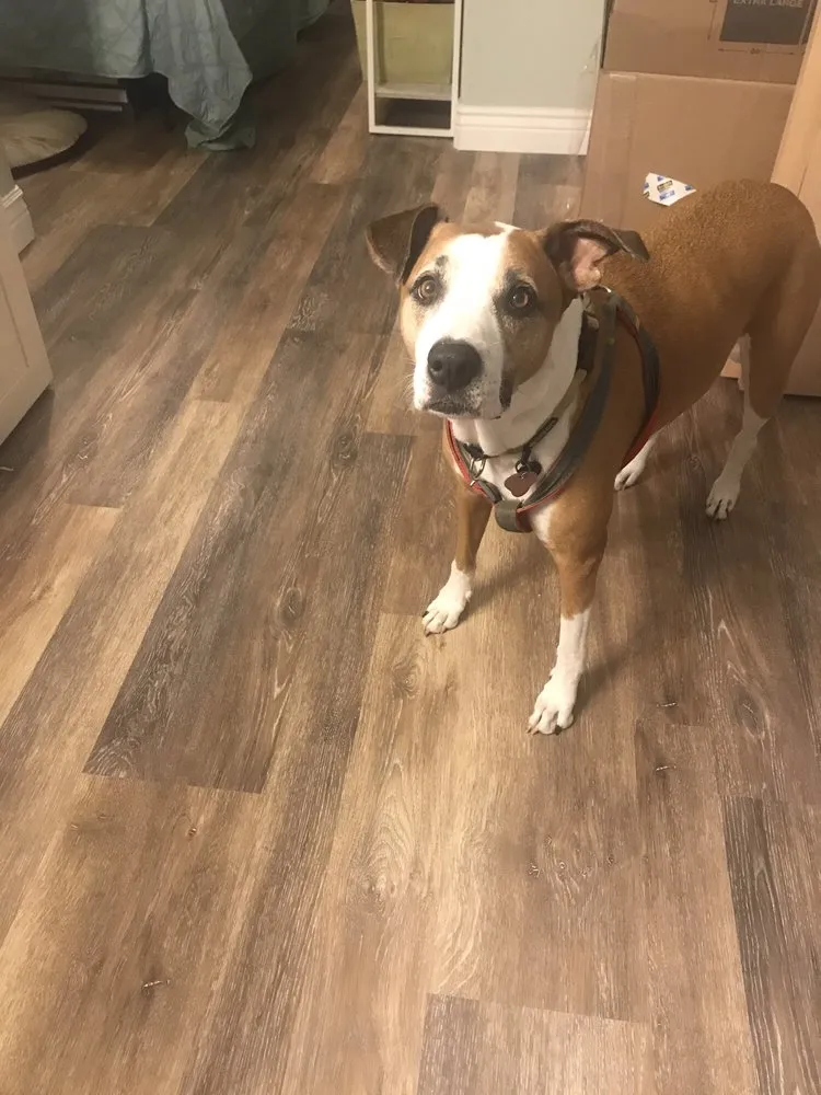 Slide of CRS Construction