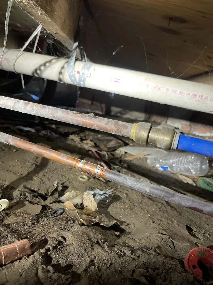 Slide of Cruz C and C