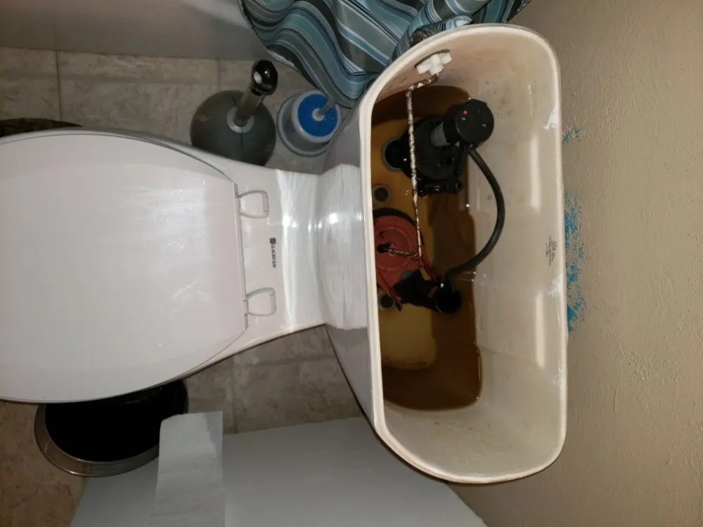 Slide of Crystal Clear Drains