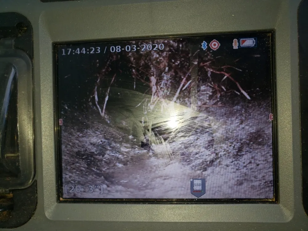 Slide of Crystal Clear Drains