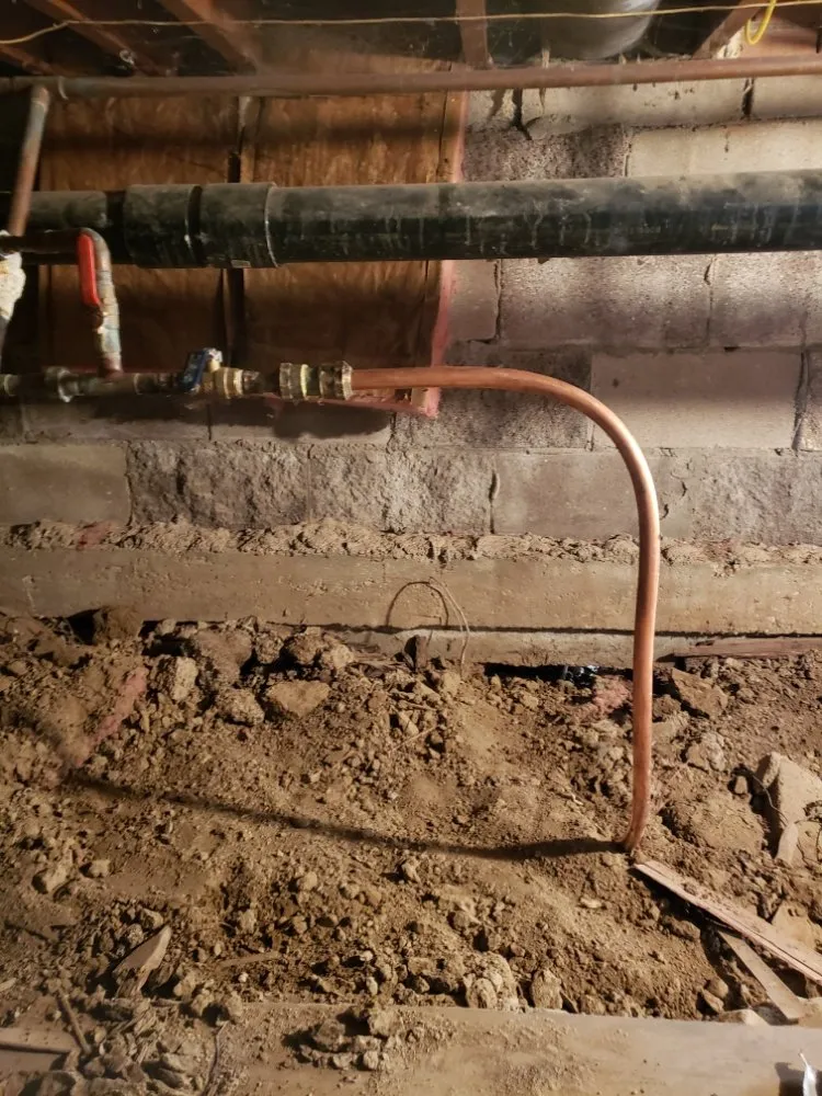 Slide of Crystal Clear Drains