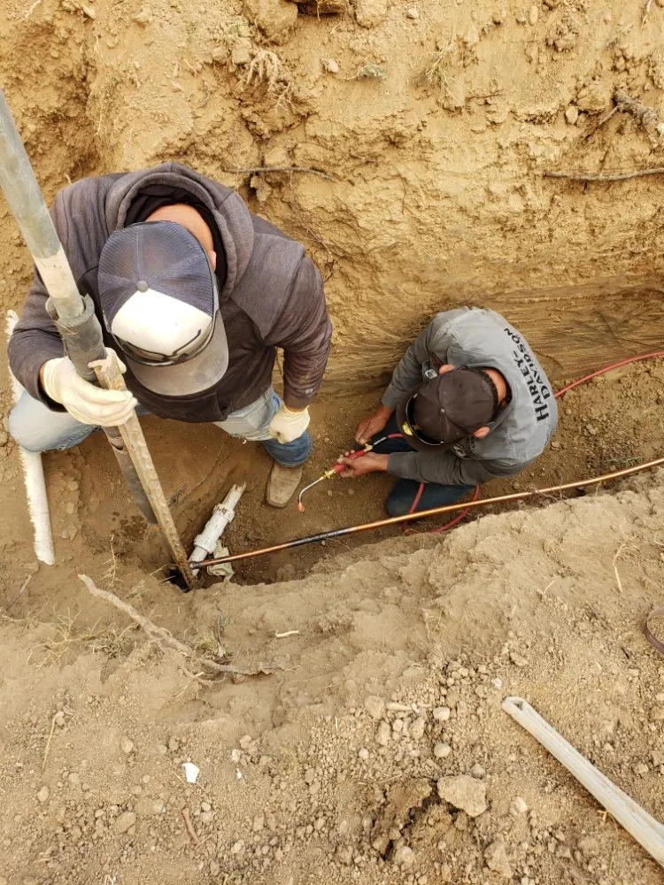 Slide of Crystal Clear Drains