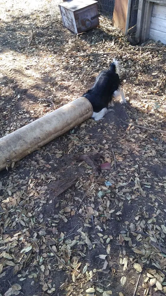 Slide of Crystal Plumbing