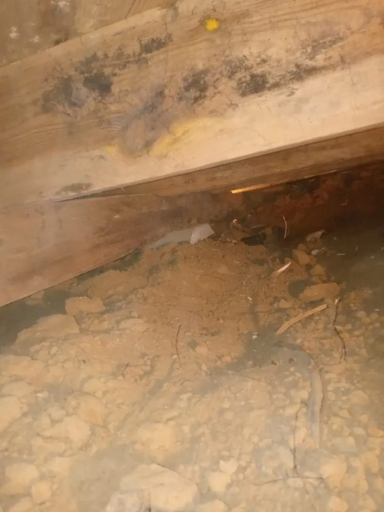 Slide of C&S Home And Foundation Repair