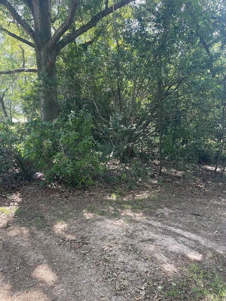 Slide of CSJ Home Solutions