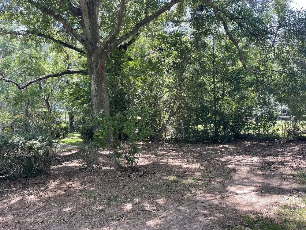 Slide of CSJ Home Solutions