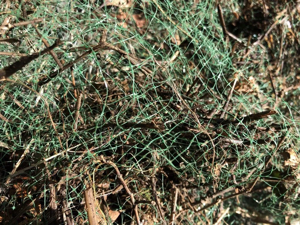 Slide of CT Dry Well