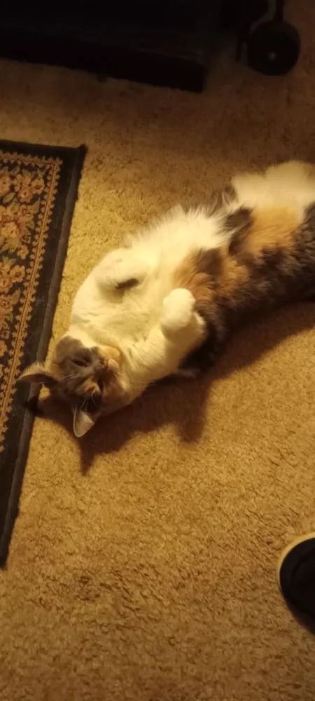 Slide of Curt The Plumber