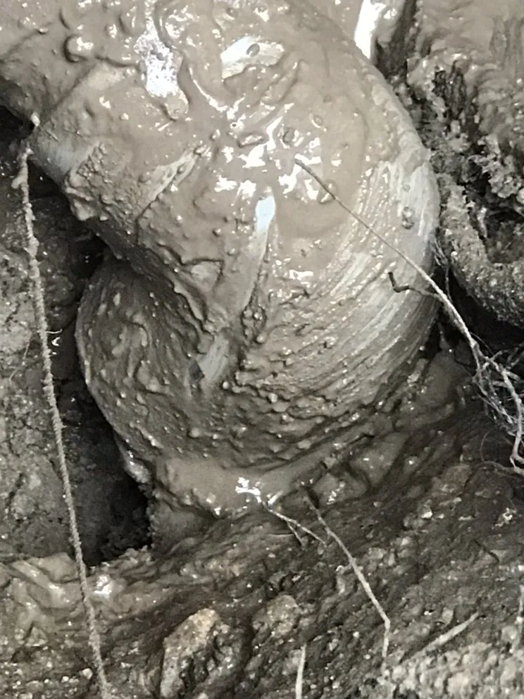 Slide of Curtis Baker