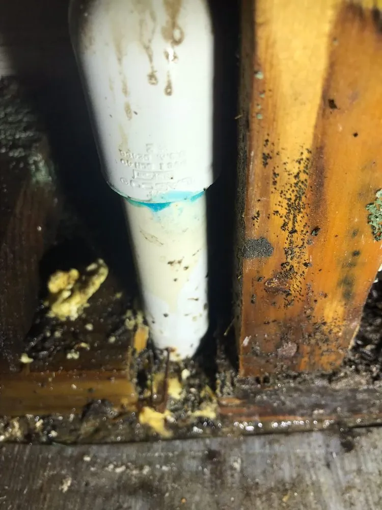 Slide of Curtis Baker