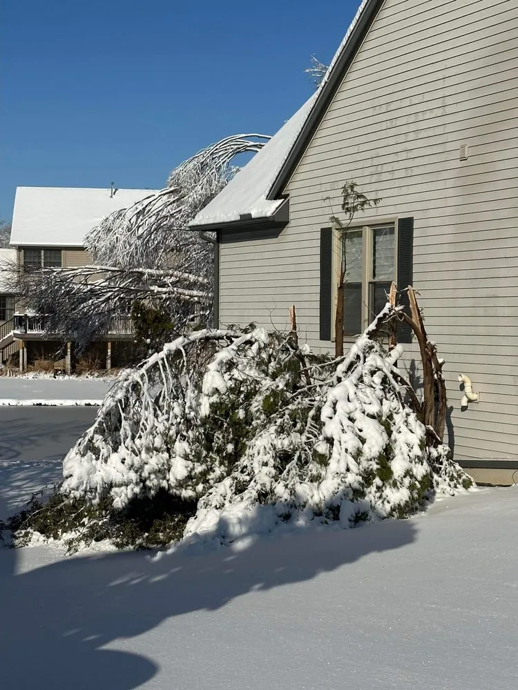 Slide of Curt’s Services