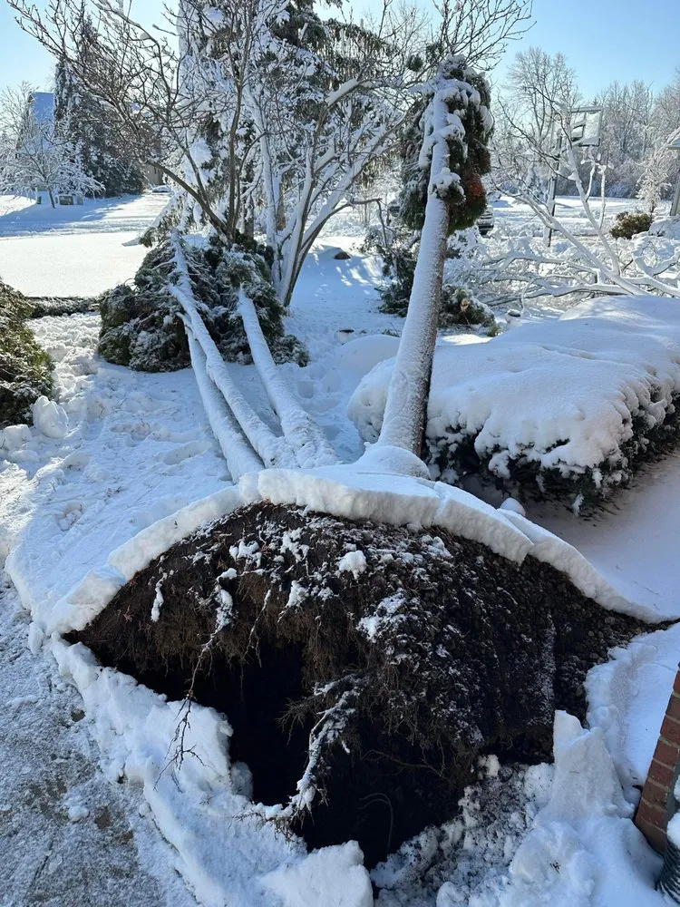 Slide of Curt’s Services