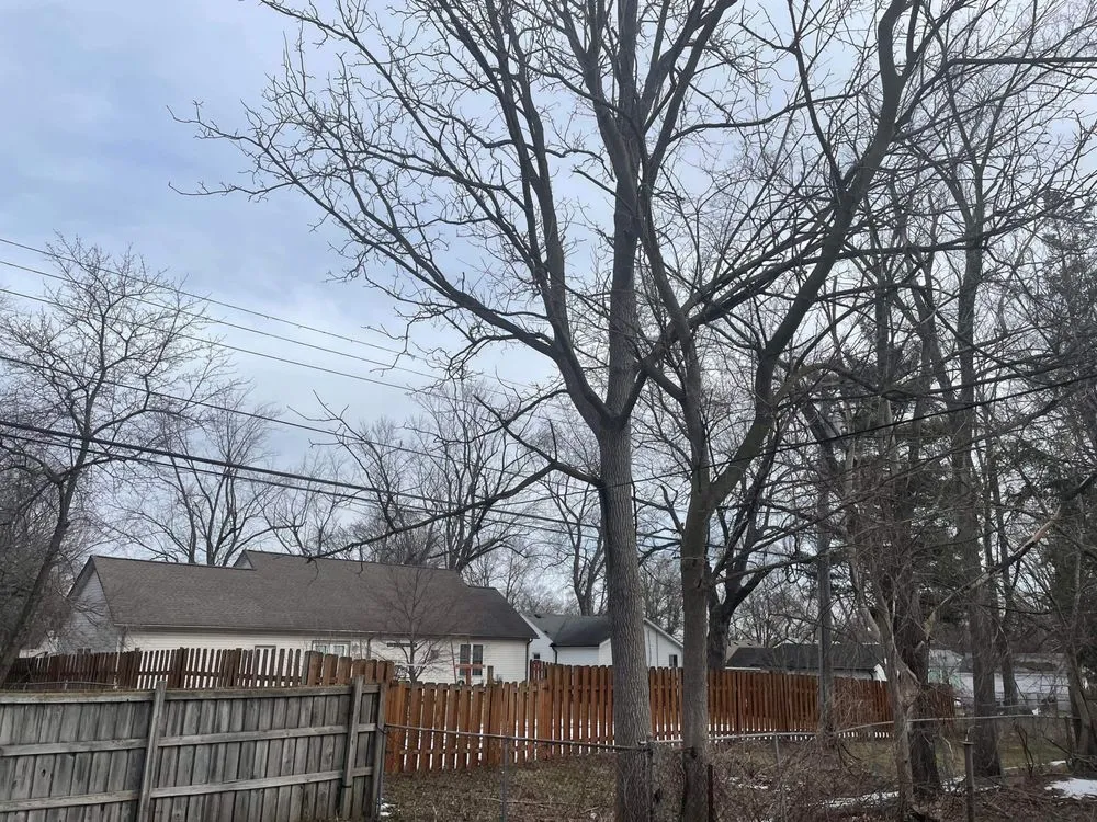 Slide of Curt’s Services