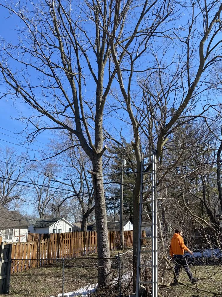 Slide of Curt’s Services