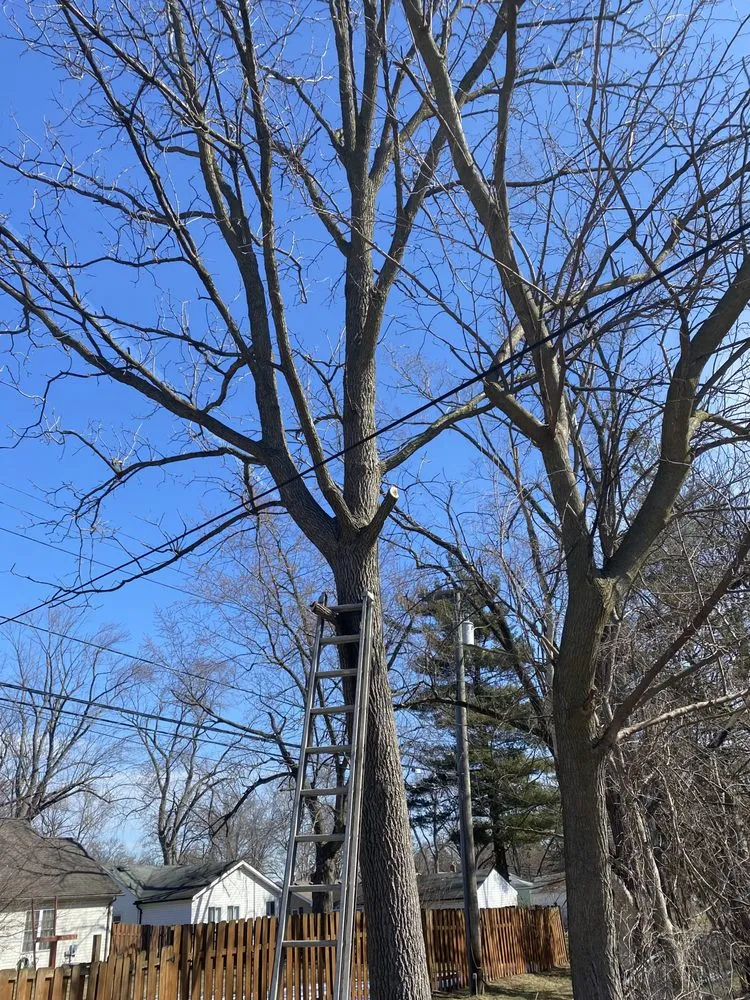 Slide of Curt’s Services