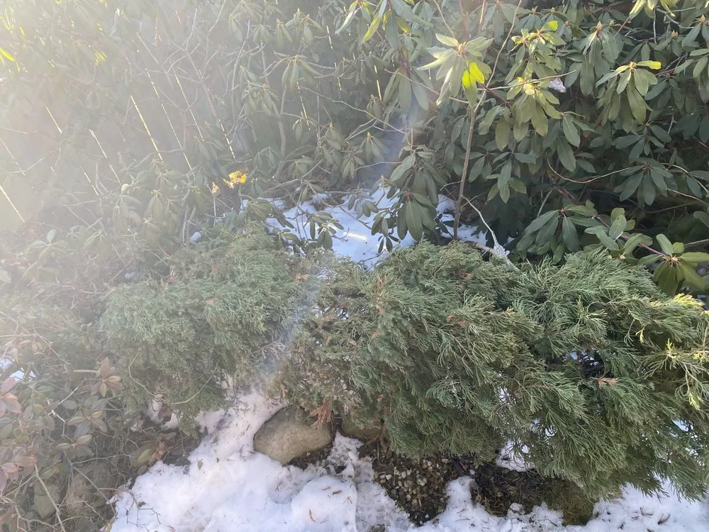 Slide of Curt’s Services