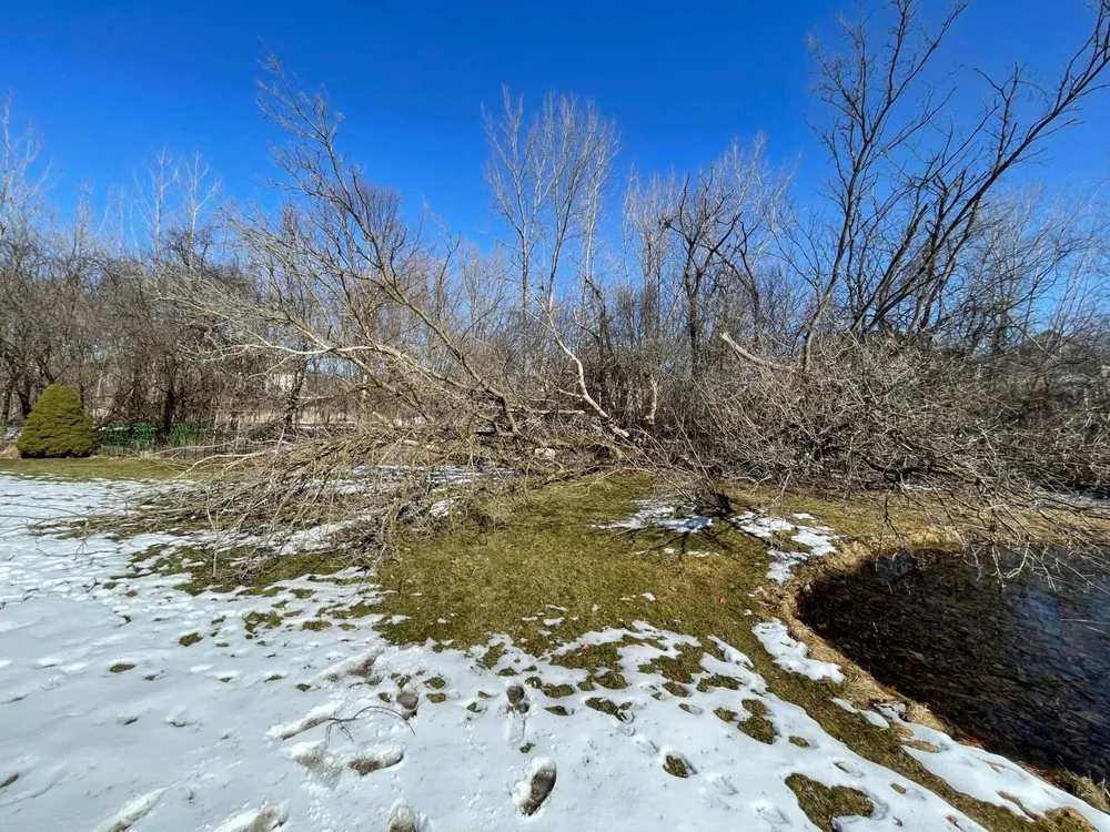 Slide of Curt’s Services