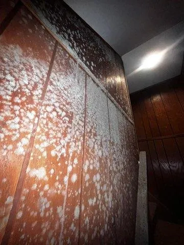 Slide of Custom Care