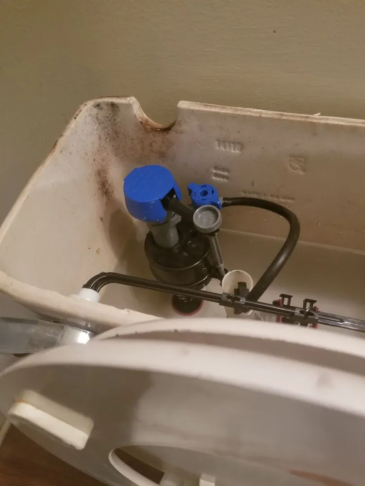 Slide of Cut Above Facility Services