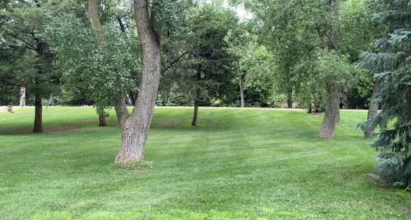 CW Lawn & Landscapes
