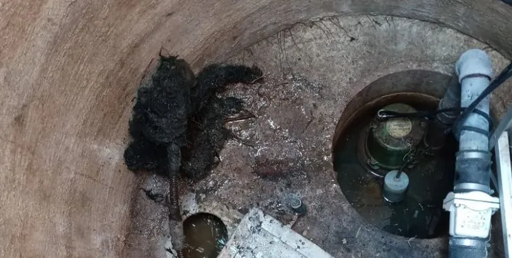 Slide of D & L Sewer Service