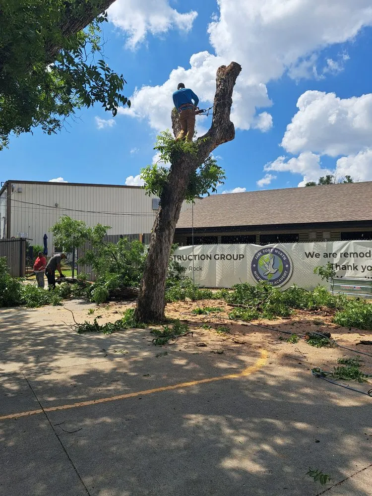 Slide of D & R General Construction Tree Service and More