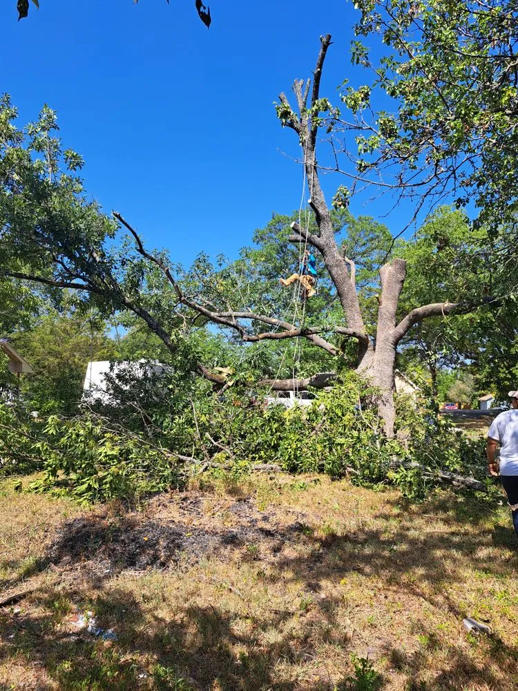 Quality water heater service in Balch Springs, TX by D & R General Construction Tree Service and More