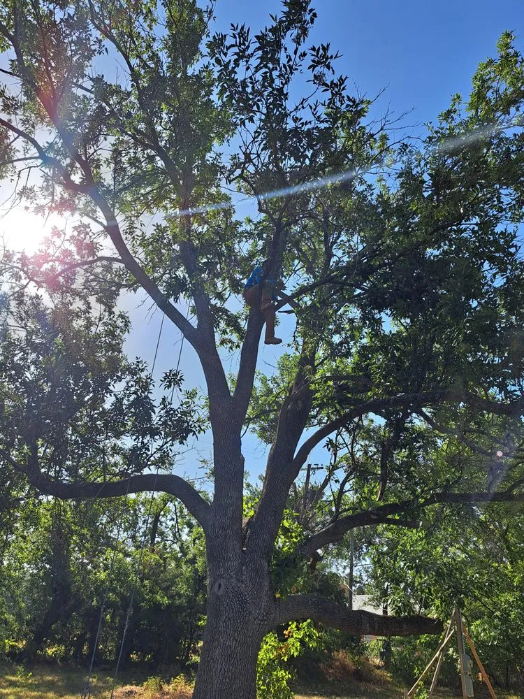 Trusted water heater service experts serving Balch Springs, TX - D & R General Construction Tree Service and More