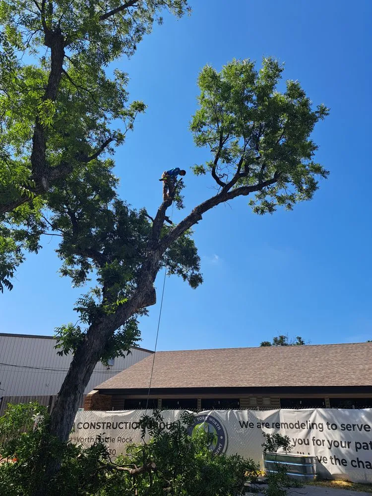 Professional drain cleaning service in Balch Springs, TX - D & R General Construction Tree Service and More