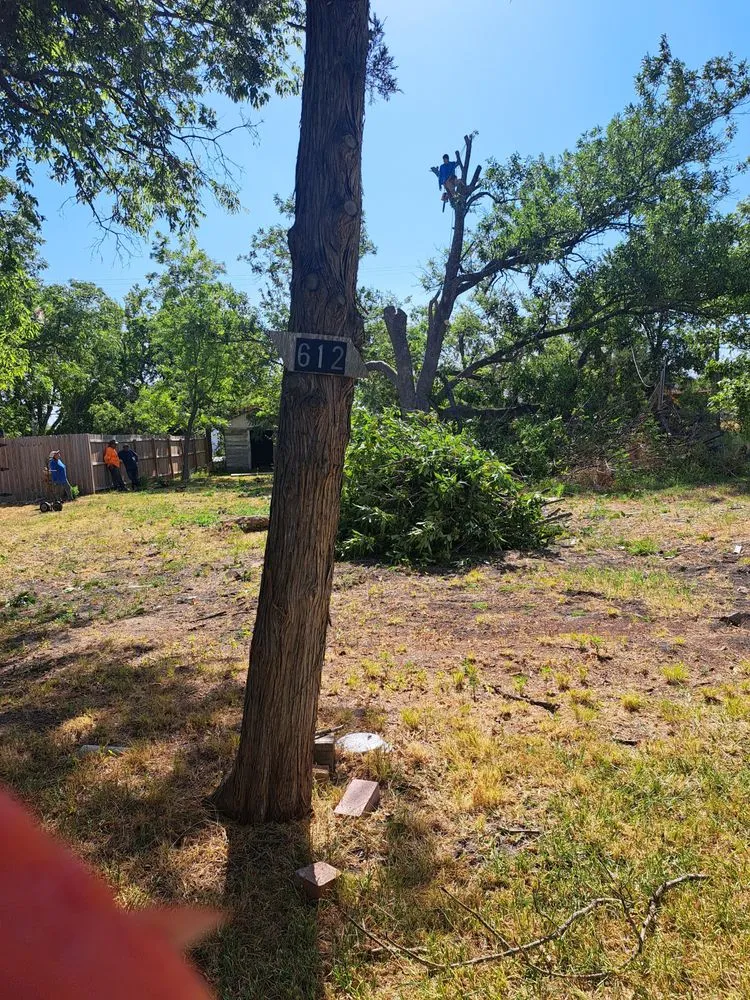 Quality leak detection service in Balch Springs, TX - D & R General Construction Tree Service and More