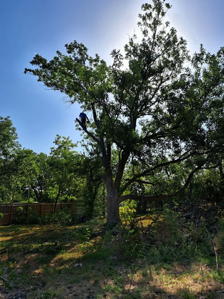 Slide of D & R General Construction Tree Service and More