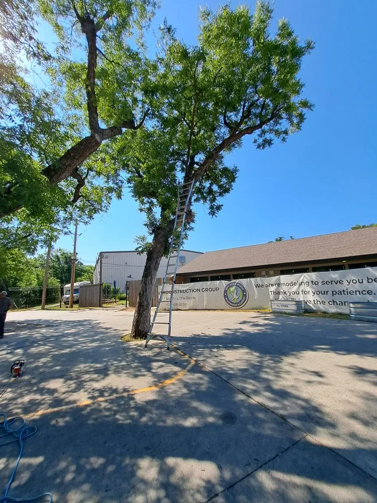 Slide of D & R General Construction Tree Service and More