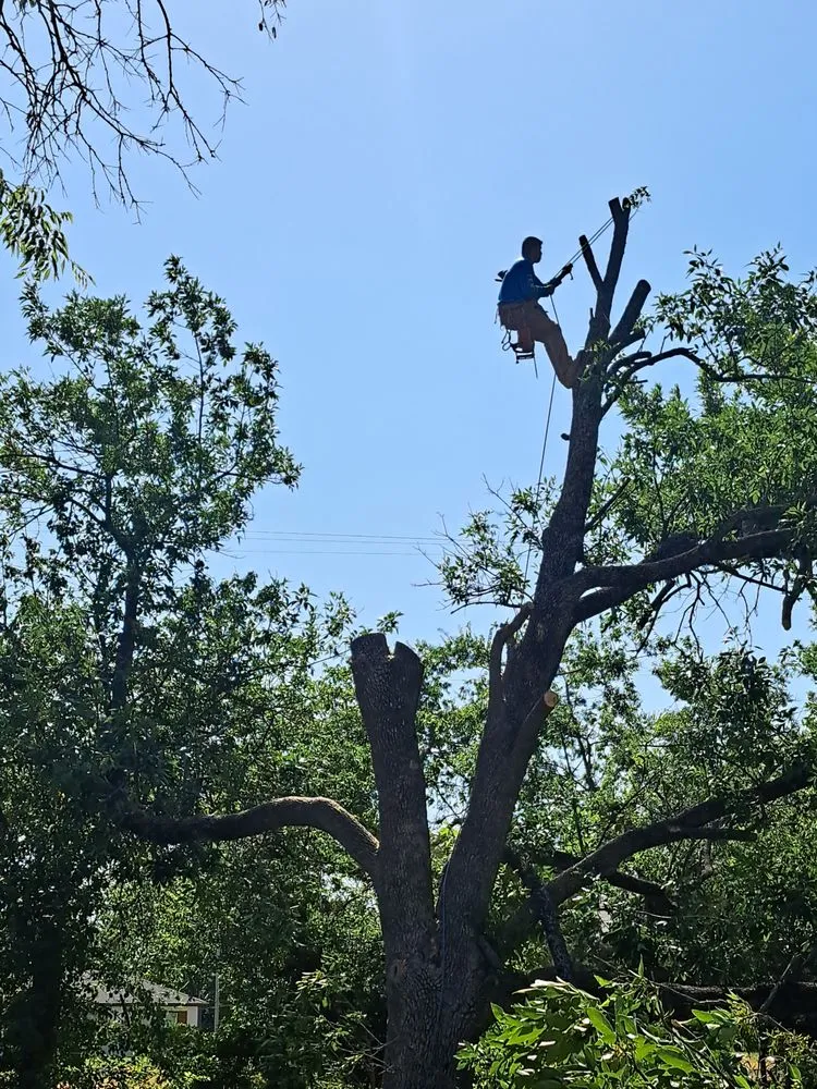 Slide of D & R General Construction Tree Service and More