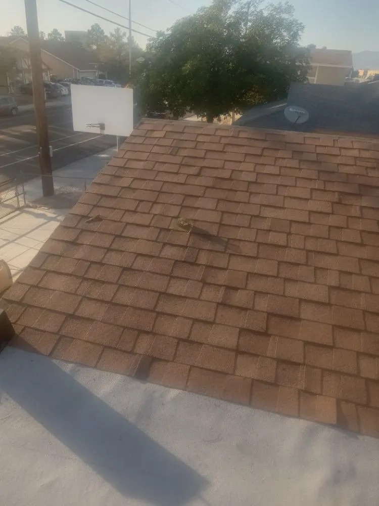 Slide of D-All Trade