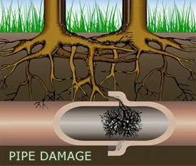 Trusted drain cleaning service in Collingswood, NJ - D Burgo Plumbing & Heating