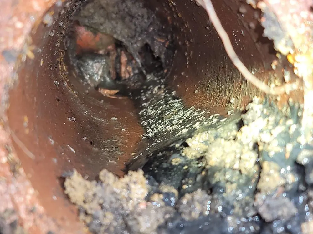 Slide of D-M Plumbing & Waterworks