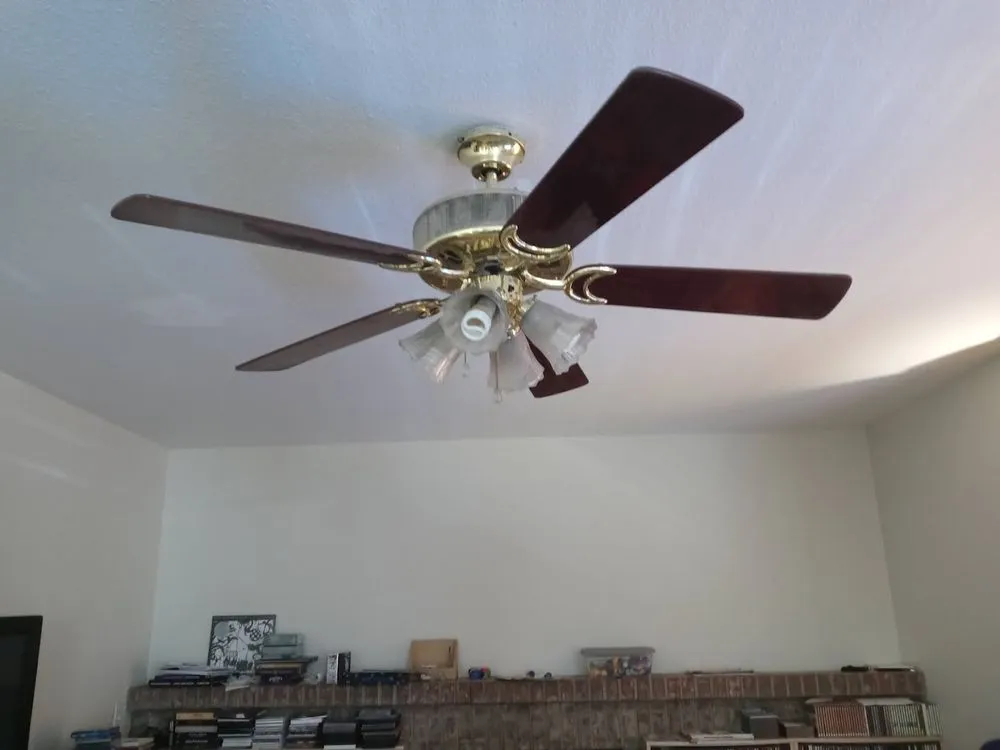 Slide of D-ManElectric