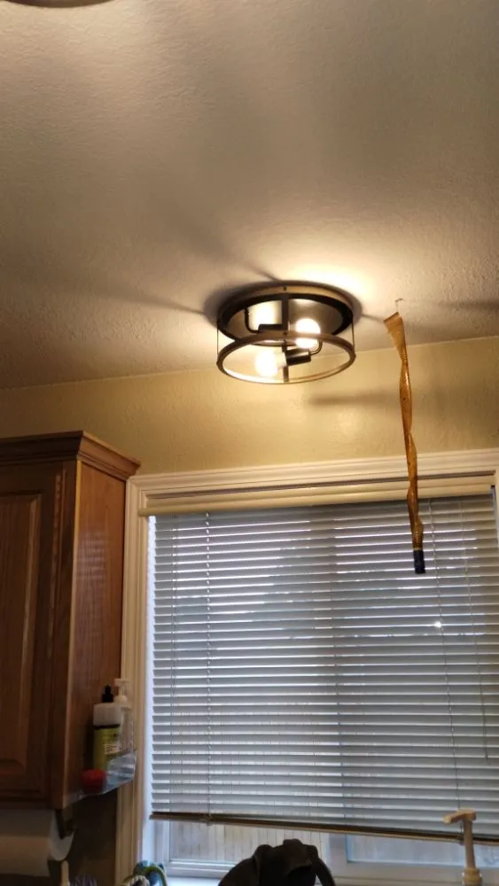 Slide of D-ManElectric