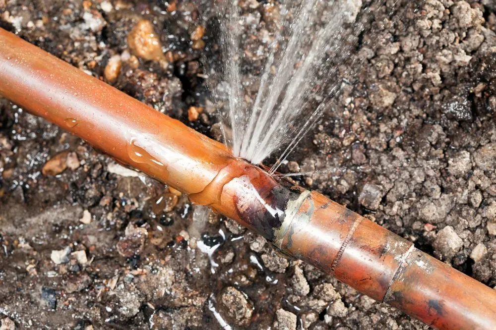 Top-rated pipe repair service in El Dorado Hills, CA - D Martel Plumbing