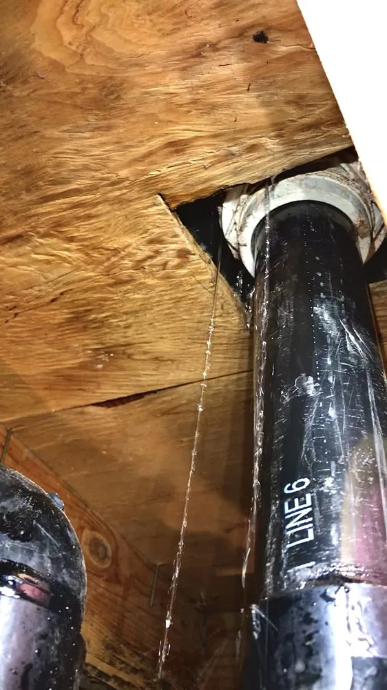 Slide of D Martel Plumbing