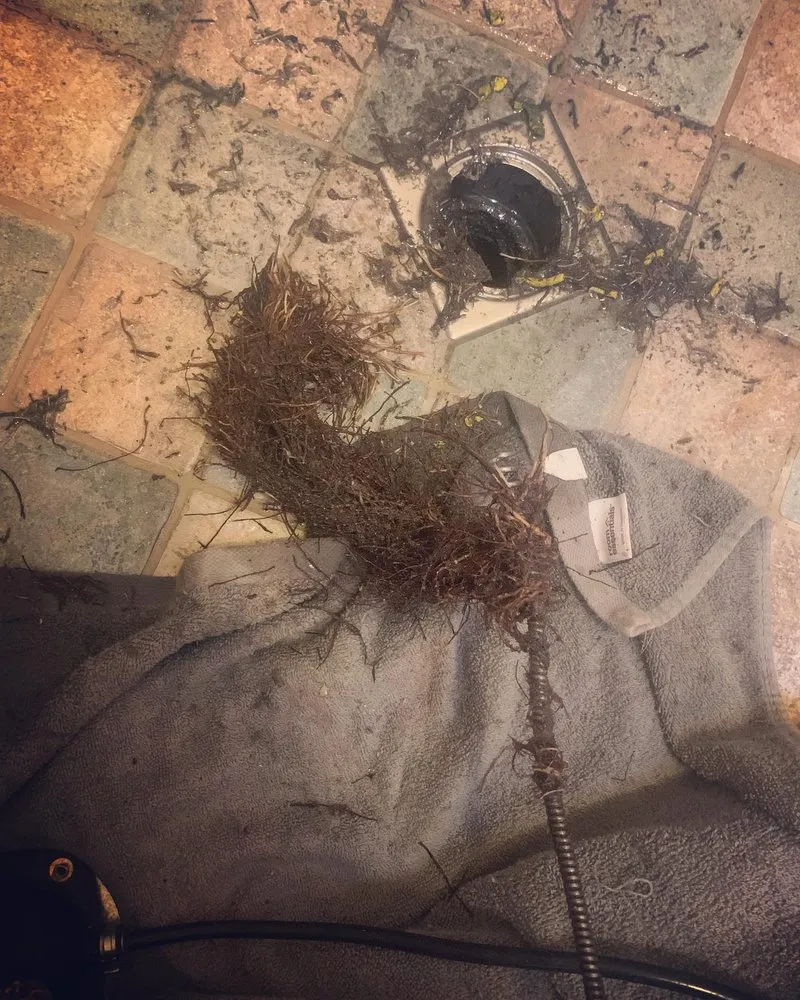 Slide of D Martel Plumbing