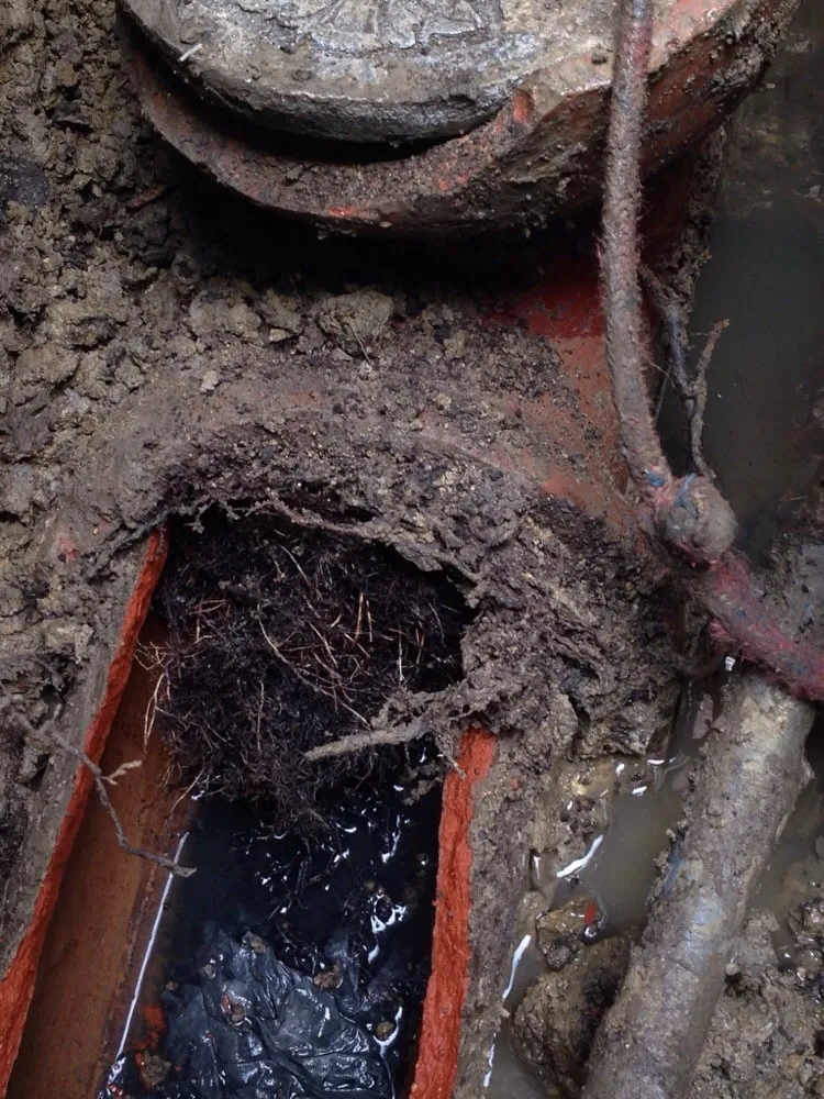 Slide of D Martin Plumbing & Sewer Service