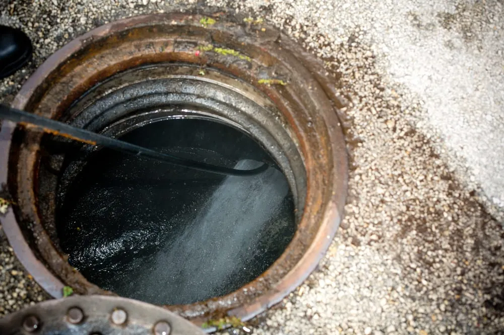 Slide of D' Master Rooter Corp.