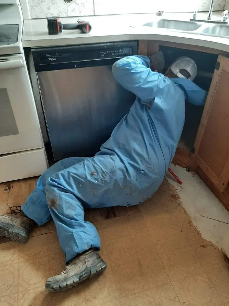 Top-rated drain cleaning in Lewes, DE by D. Russell Home Repairs