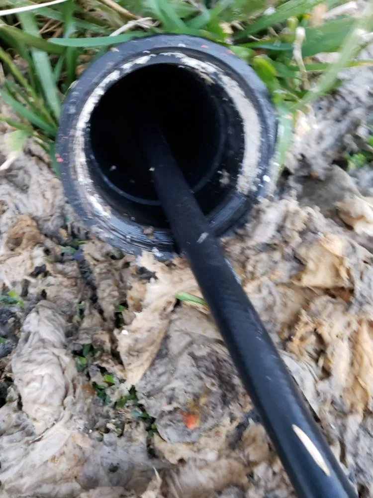 Slide of D3 Drain Cleaning