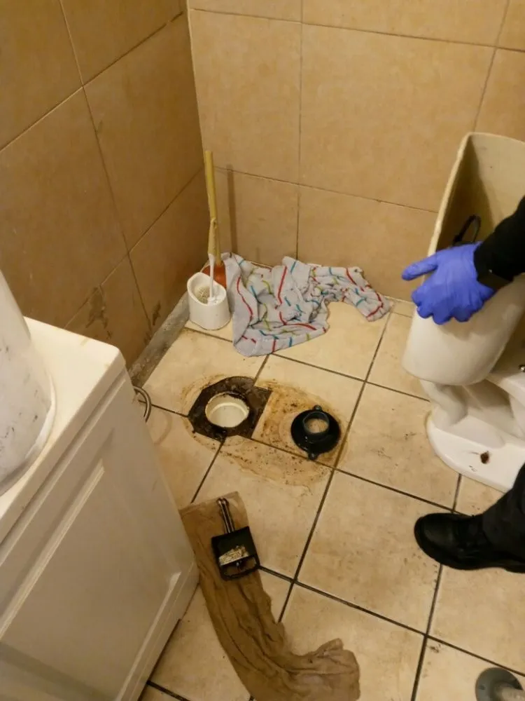 Slide of D3 Drain Cleaning