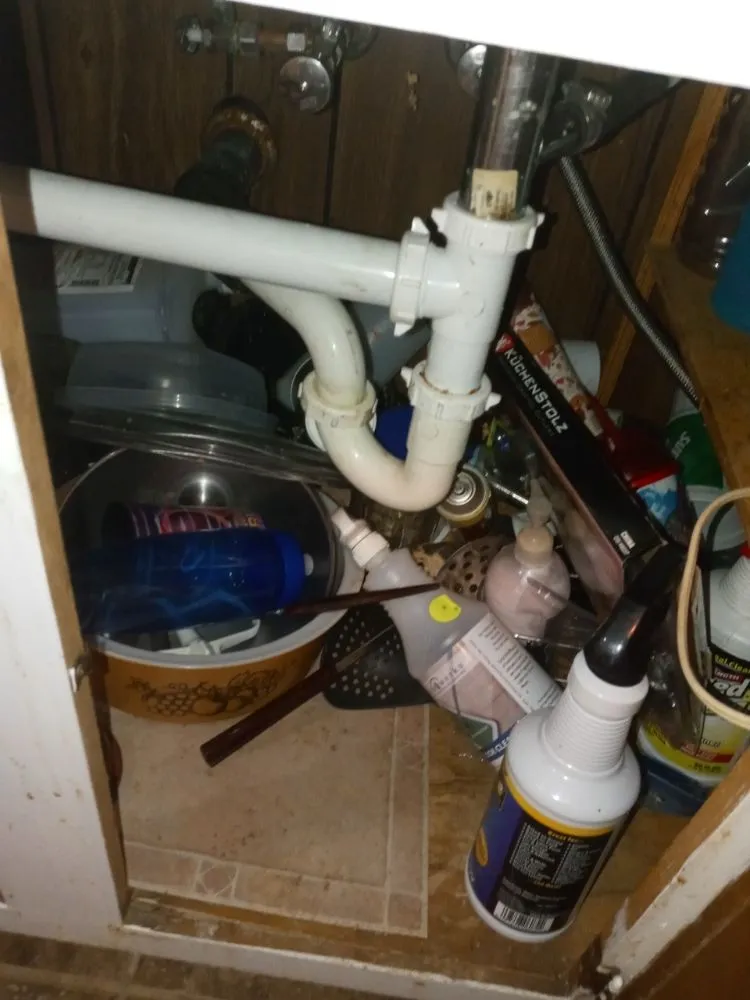 Slide of D3 Drain Cleaning